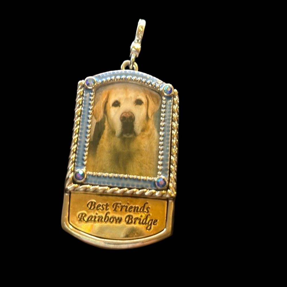 Rainbow 🌈 Bridges Key chain or necklace charm put your pets picture in frame